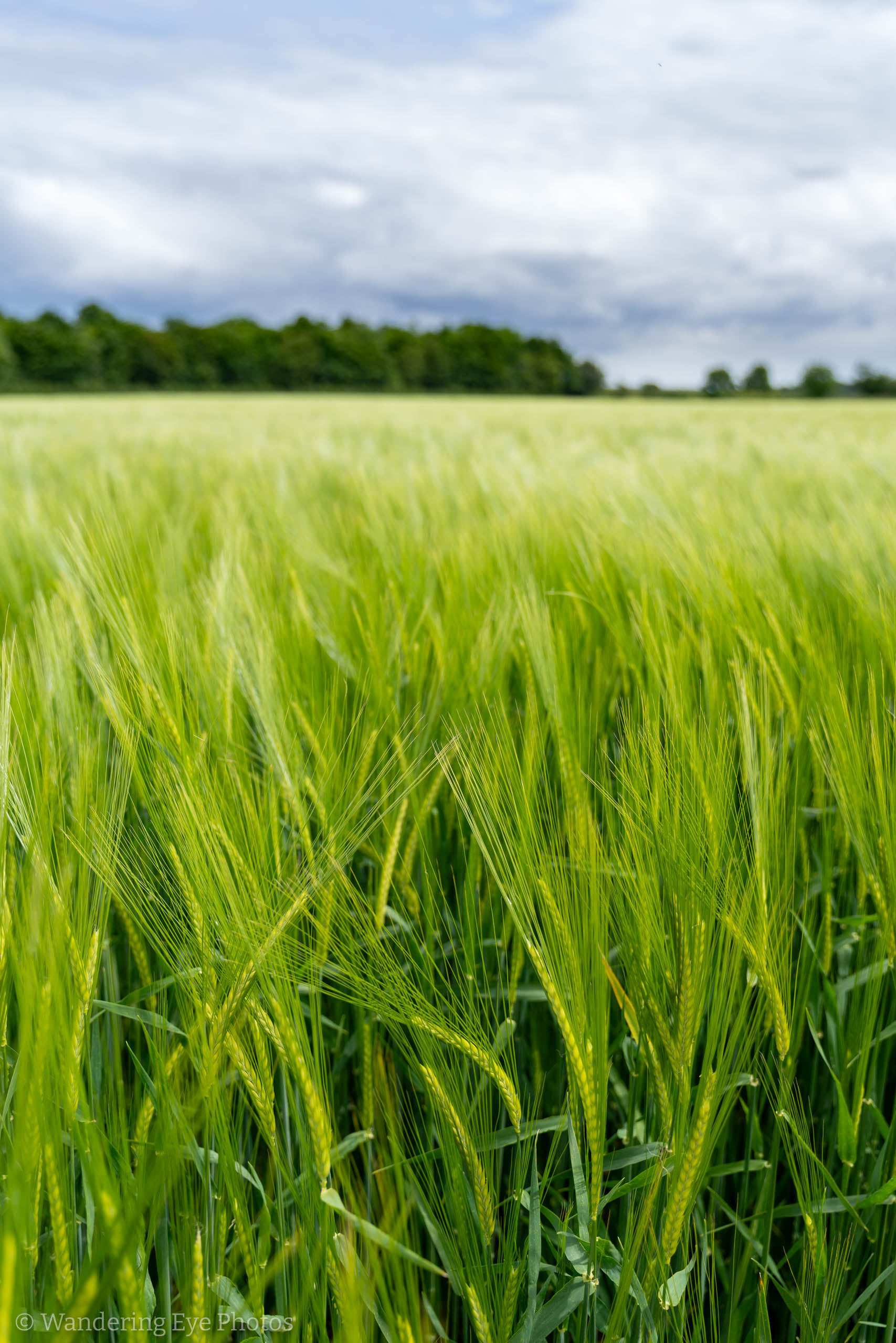 05.27 12.34.12   DSC01875